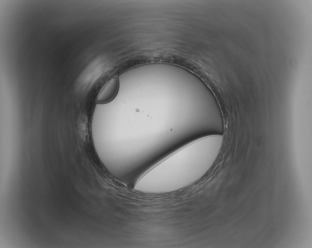 X0000112900963200908211047