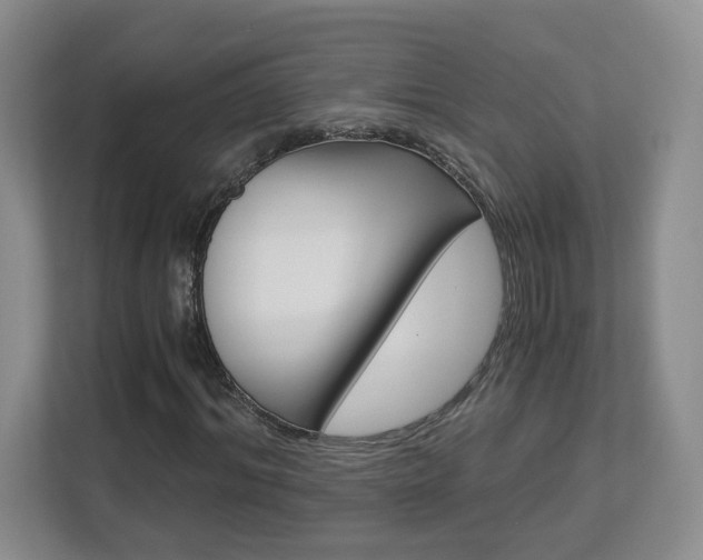 X0000112900964200908211047