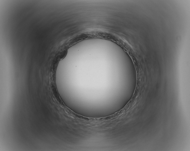 X0000112900965200908211047