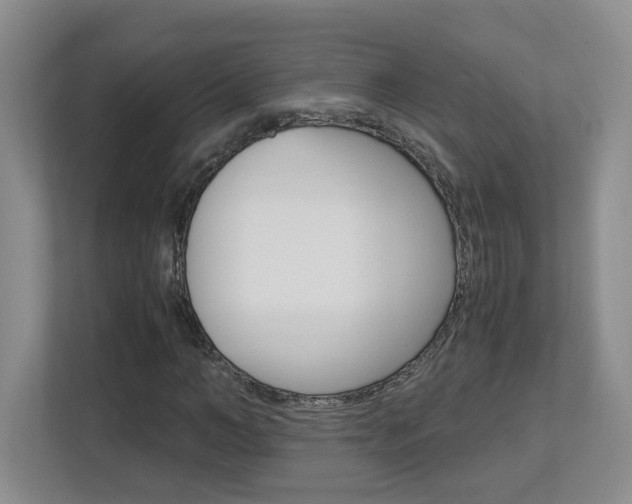 X0000112900966200908211047