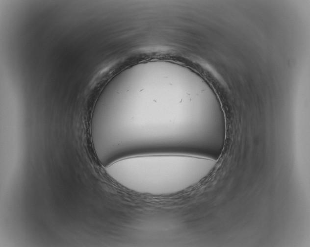 X0000112900967200908211047
