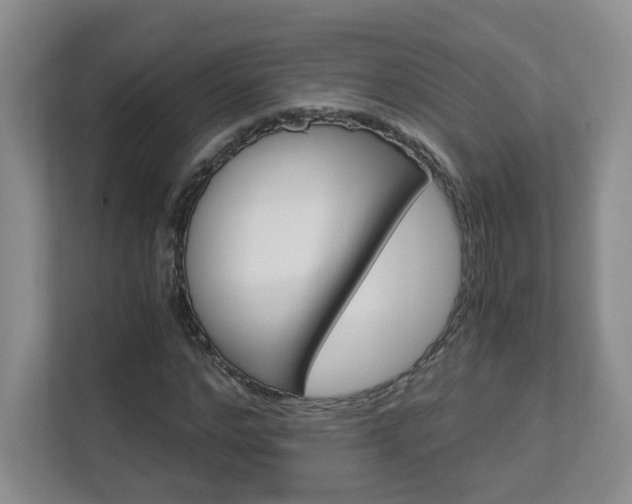 X0000112900968200908211047