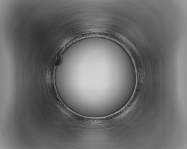 X0000112900969200908211047