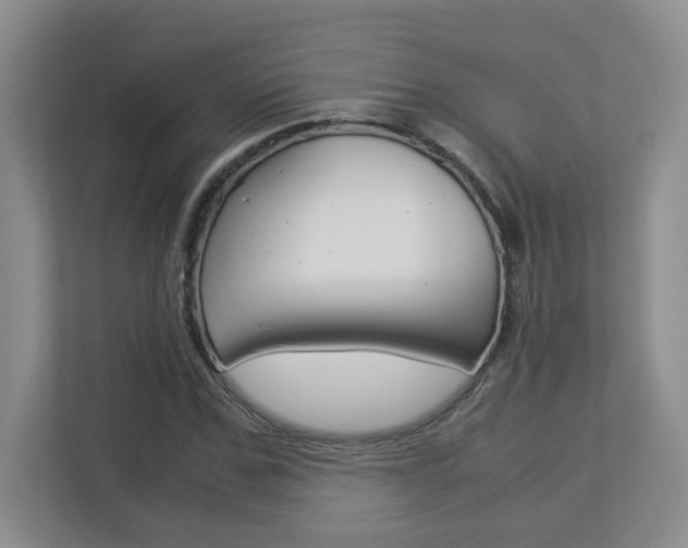 X0000112900971200908211047