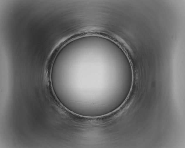 X0000112900973200908211047