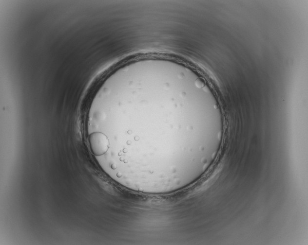 X0000112900974200908211047