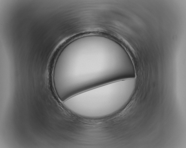 X0000112900975200908211047