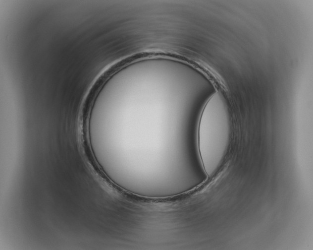 X0000112900976200908211047