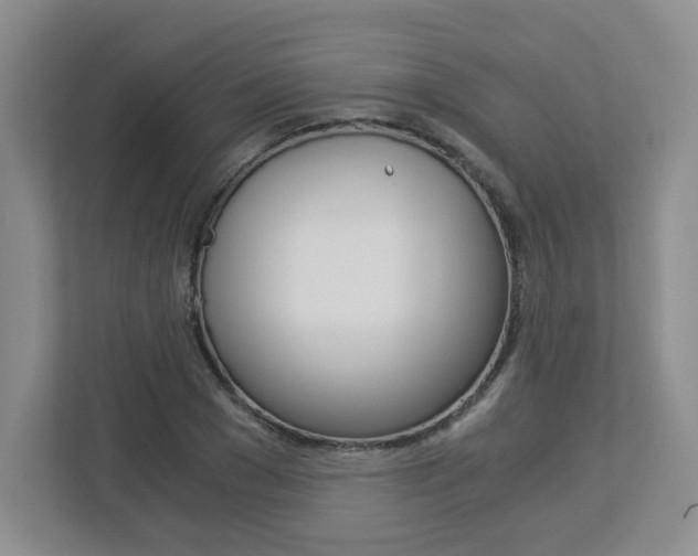 X0000112900977200908211047