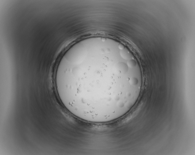 X0000112900978200908211047