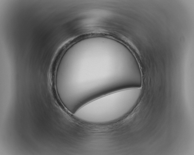 X0000112900979200908211047