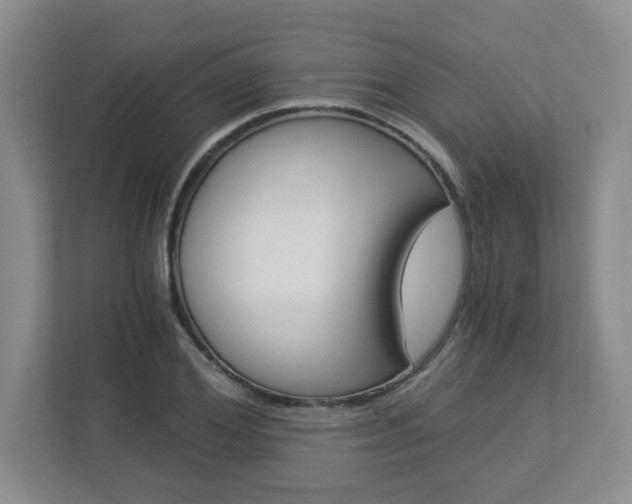 X0000112900980200908211047