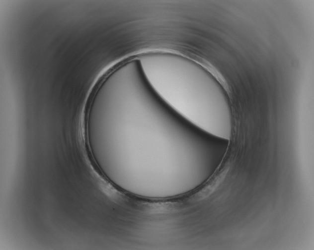 X0000112900988200908211047