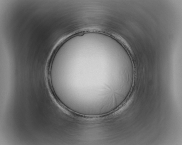 X0000112900989200908211047