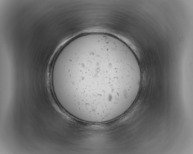 X0000112900998200908211046