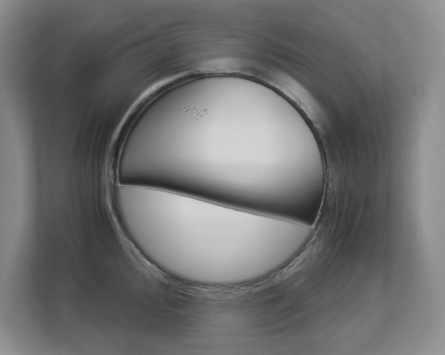 X0000112901000200908211046