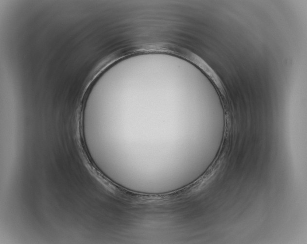 X0000112901002200908211046