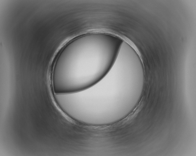 X0000112901005200908211046