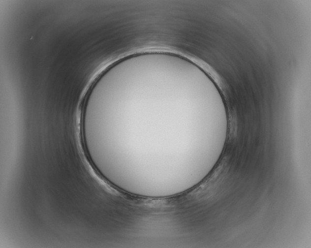 X0000112901006200908211046