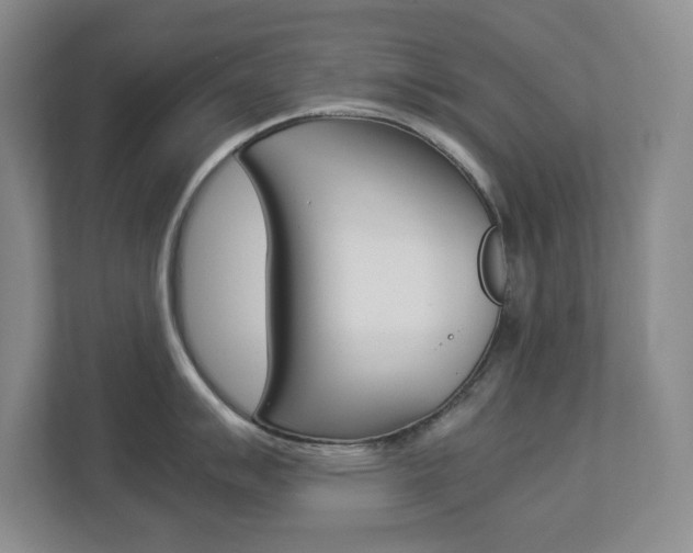 X0000112901007200908211046