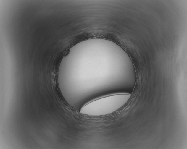 X0000112901010200908211046