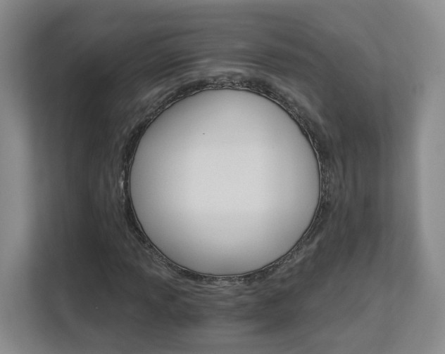 X0000112901013200908211046