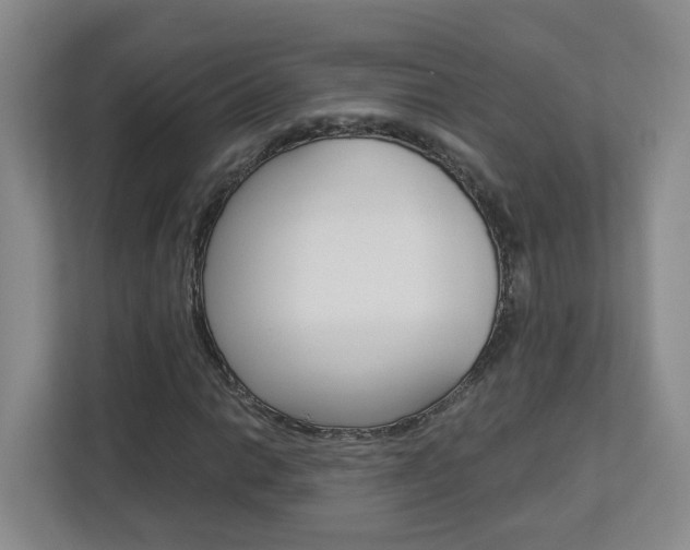 X0000112901014200908211046