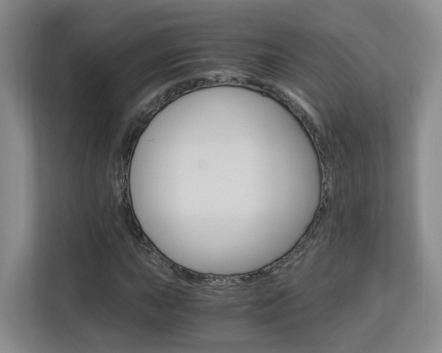 X0000112901015200908211046