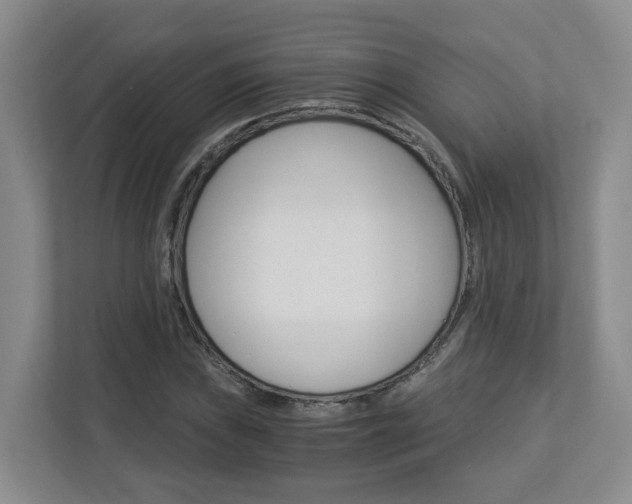 X0000112901019200908211046