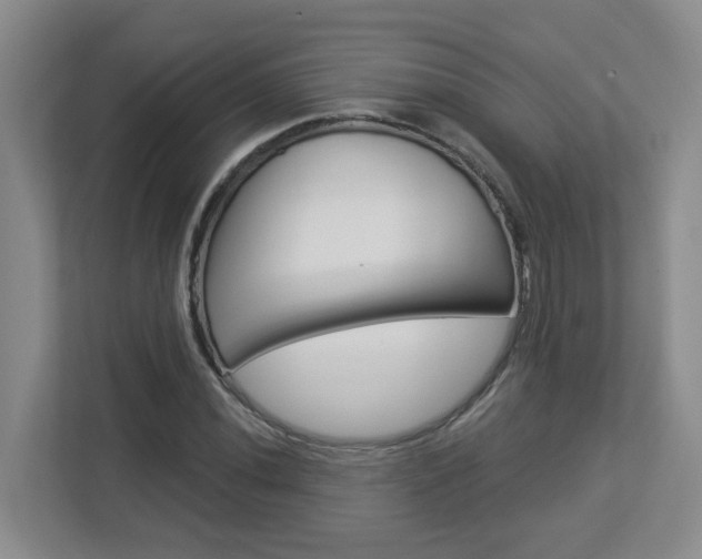 X0000112901020200908211046