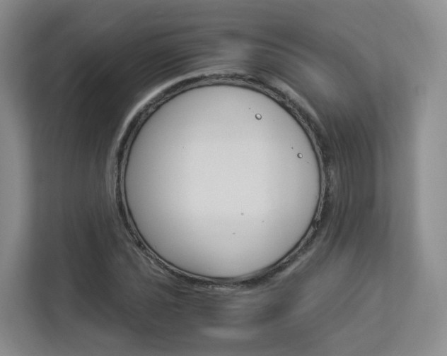 X0000112901021200908211046