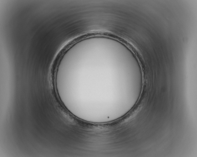 X0000112901022200908211046