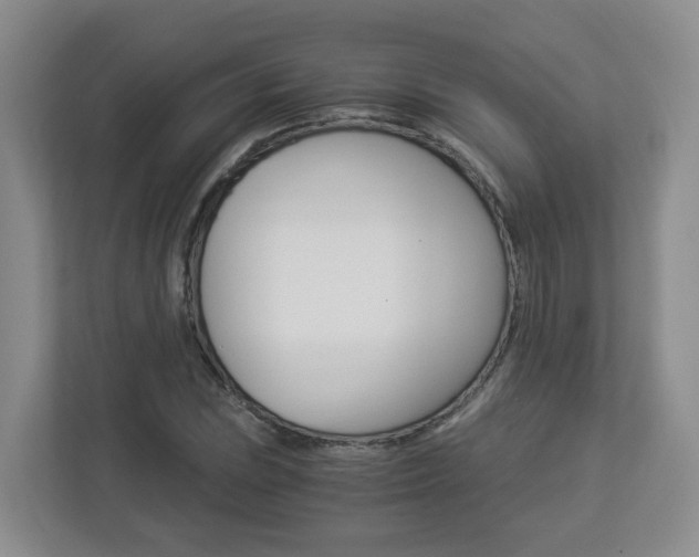X0000112901023200908211046