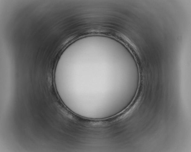 X0000112901025200908211046