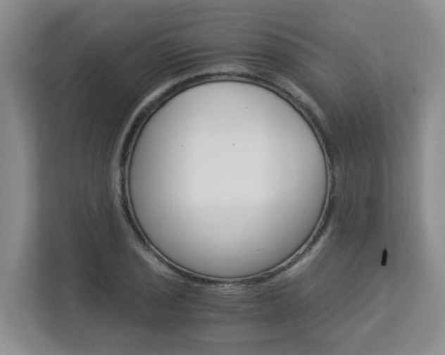 X0000112901029200908211046