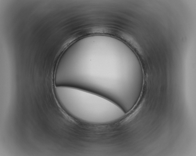 X0000112901033200908211046