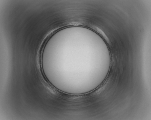 X0000112901035200908211046