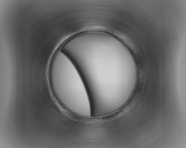 X0000112901038200908211046