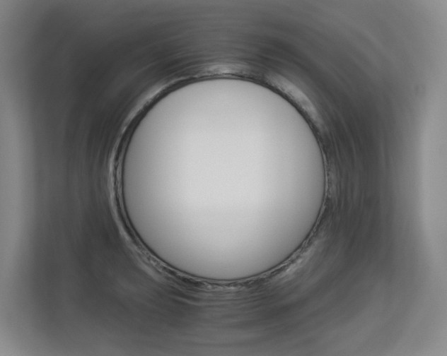 X0000112901039200908211046
