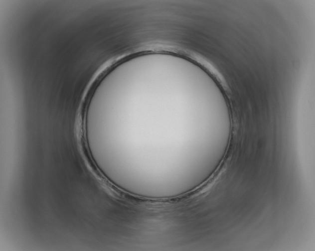 X0000112901040200908211046