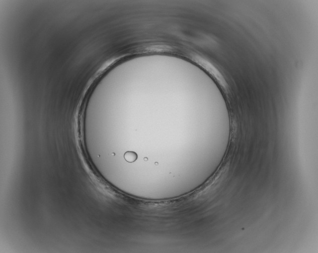 X0000112901047200908211046