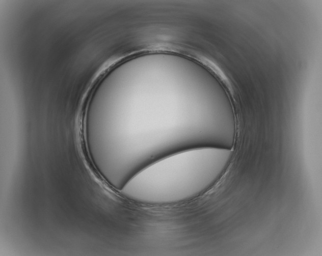 X0000112901048200908211046