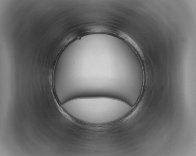 X0000112901049200908211046