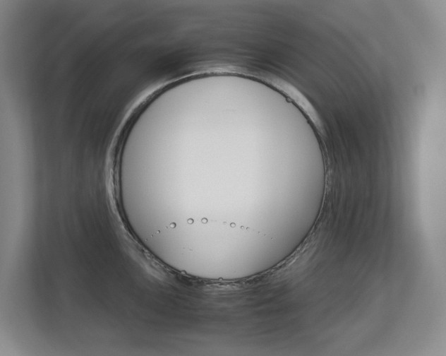 X0000112901051200908211046
