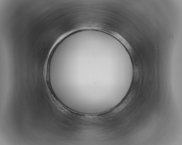 X0000112901052200908211046