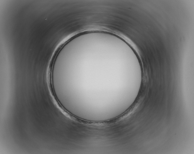 X0000112901053200908211046