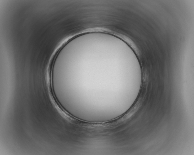 X0000112901054200908211046