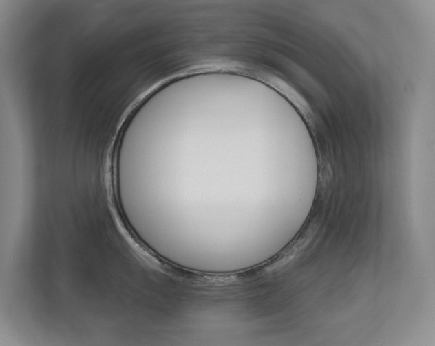 X0000112901055200908211046