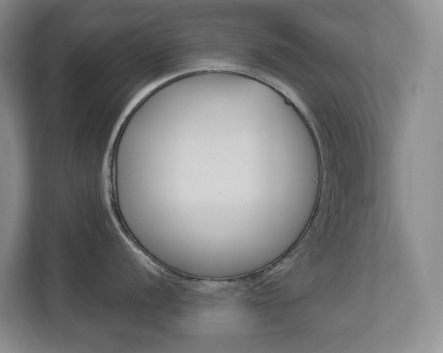 X0000112901056200908211046