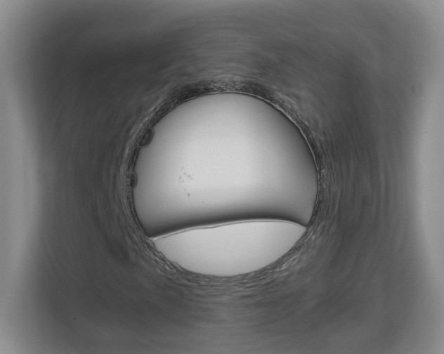 X0000112901057200908211046
